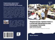 Buchcover von Управление проектами в сложной федеральной государственной организации