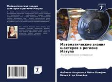 Bookcover of Математические знания шахтеров в регионе Матупа