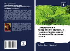 Buchcover von Папоротники и папоротникообразные Национального парка Шивапури Нагарджун, Непал