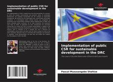 Copertina di Implementation of public CSR for sustainable development in the DRC