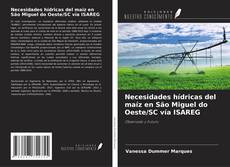 Couverture de Necesidades hídricas del maíz en São Miguel do Oeste/SC vía ISAREG