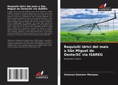 Requisiti idrici del mais a São Miguel do Oeste/SC via ISAREG kitap kapağı