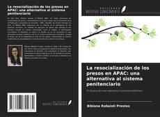 Couverture de La resocialización de los presos en APAC: una alternativa al sistema penitenciario