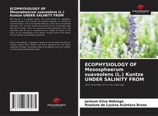 Обложка ECOPHYSIOLOGY OF Mesosphaerum suaveolens (L.) Kuntze UNDER SALINITY FROM