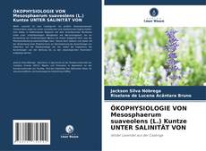 Couverture de ÖKOPHYSIOLOGIE VON Mesosphaerum suaveolens (L.) Kuntze UNTER SALINITÄT VON