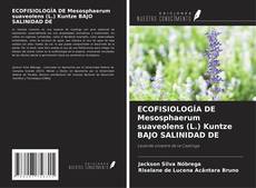 Copertina di ECOFISIOLOGÍA DE Mesosphaerum suaveolens (L.) Kuntze BAJO SALINIDAD DE