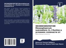 Обложка ЭКОФИЗИОЛОГИЯ Mesosphaerum suaveolens (L.) Kuntze в условиях солености от