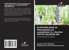 Buchcover von ECOFISIOLOGIA DI Mesosphaerum suaveolens (L.) Kuntze SOTTO SALINITÀ DA