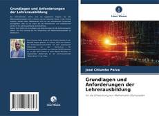 Bookcover of Grundlagen und Anforderungen der Lehrerausbildung