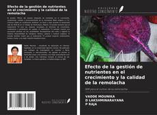 Efecto de la gestión de nutrientes en el crecimiento y la calidad de la remolacha的封面