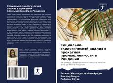 Capa do livro de Социально-экологический анализ в прокатной промышленности в Рондонии 