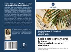 Bookcover of Sozio-ökologische Analyse in einer Walzwerkindustrie in Rondônia