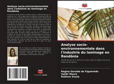 Analyse socio-environnementale dans l'industrie du laminage en Rondônia kitap kapağı