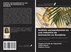 Análisis socioambiental en una industria de laminación en Rondônia的封面