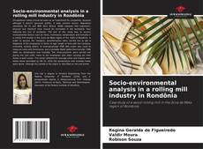 Socio-environmental analysis in a rolling mill industry in Rondônia kitap kapağı