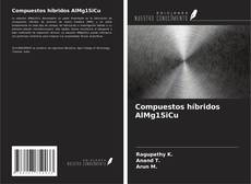 Compuestos híbridos AlMg1SiCu的封面