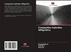 Composites hybrides AlMg1SiCu kitap kapağı