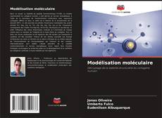 Modélisation moléculaire kitap kapağı