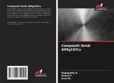 Compositi ibridi AlMg1SiCu kitap kapağı