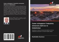 Come sviluppare l'industria mineraria dell'oro in Uzbekistan kitap kapağı