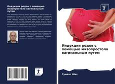 Capa do livro de Индукция родов с помощью мизопростола вагинальным путем 