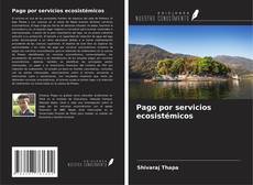 Pago por servicios ecosistémicos kitap kapağı