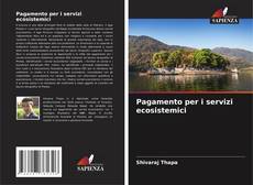 Buchcover von Pagamento per i servizi ecosistemici