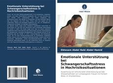 Borítókép a  Emotionale Unterstützung bei Schwangerschaftsstress in Hochrisikosituationen - hoz