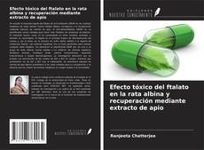 Couverture de Efecto tóxico del ftalato en la rata albina y recuperación mediante extracto de apio