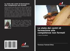 Bookcover of Lo stato dei centri di formazione alle competenze non formali