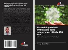 Borítókép a  Sistemi di gestione ambientale delle industrie certificate ISO 14001 - hoz