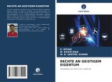 Copertina di RECHTE AN GEISTIGEM EIGENTUM