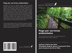 Pago por servicios ambientales kitap kapağı