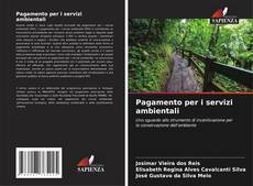 Bookcover of Pagamento per i servizi ambientali