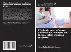 Portada del libro de Efecto de la enseñanza sanitaria en la mejora de las molestias menores posparto