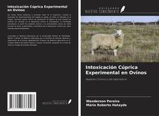 Buchcover von Intoxicación Cúprica Experimental en Ovinos