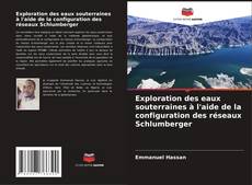 Exploration des eaux souterraines à l'aide de la configuration des réseaux Schlumberger kitap kapağı