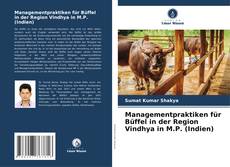 Couverture de Managementpraktiken für Büffel in der Region Vindhya in M.P. (Indien)