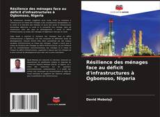 Capa do livro de Résilience des ménages face au déficit d'infrastructures à Ogbomoso, Nigeria 