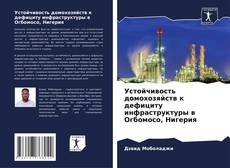 Buchcover von Устойчивость домохозяйств к дефициту инфраструктуры в Огбомосо, Нигерия