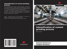 Copertina di Intensification of cement grinding process
