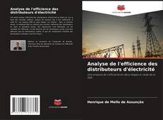 Analyse de l'efficience des distributeurs d'électricité kitap kapağı