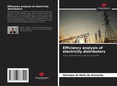 Bookcover of Efficiency analysis of electricity distributors