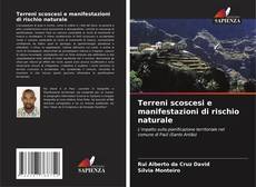 Bookcover of Terreni scoscesi e manifestazioni di rischio naturale