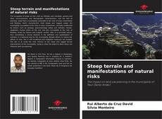 Bookcover of Steep terrain and manifestations of natural risks