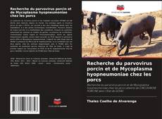 Recherche du parvovirus porcin et de Mycoplasma hyopneumoniae chez les porcs kitap kapağı