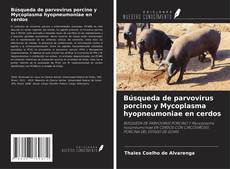 Couverture de Búsqueda de parvovirus porcino y Mycoplasma hyopneumoniae en cerdos