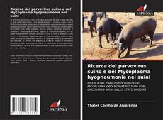 Bookcover of Ricerca del parvovirus suino e del Mycoplasma hyopneumonie nei suini