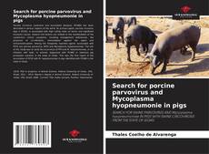Bookcover of Search for porcine parvovirus and Mycoplasma hyopneumonie in pigs