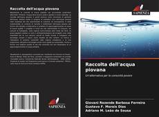 Bookcover of Raccolta dell'acqua piovana